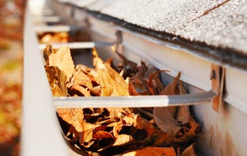 Luston gutter cleaning companies