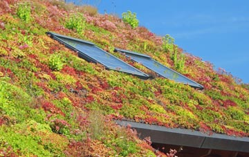 Luston living roof systems