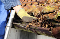 Luston gutter cleaners